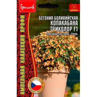 Бегония Копакабана Триколор F1 боливийская ампельная (большой пакет)