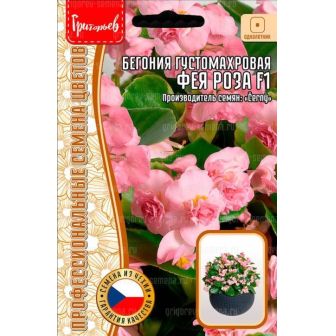 Бегония Фея Роза F1 густомахровая (большой пакет)
