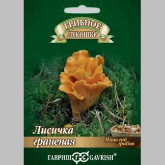 Лисичка Граненая (большой пакет)