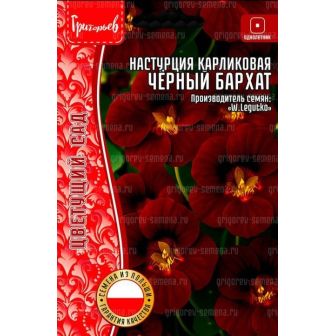 Настурция Чёрный Бархат карликовая (большой пакет)