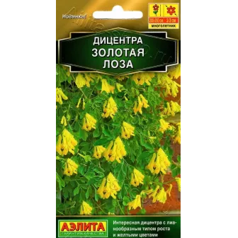 Дицентра Золотая лоза