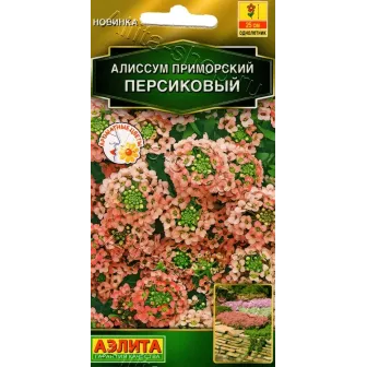 Алиссум Персиковый приморский