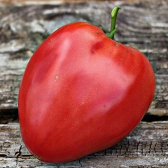 Томат Король Гномов (большой пакет)