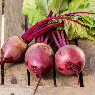 Дуэт Свекла Крымская Борщевая +Фёкла