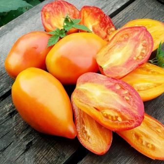 Томат Гордость Марины Джейсона Хейнса (Marinas Praise) (большой пакет)