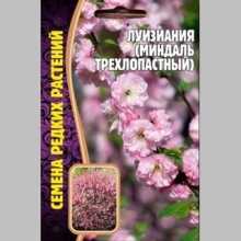 Луизиания Миндаль трехлопастный (большой пакет) - Семена Тут