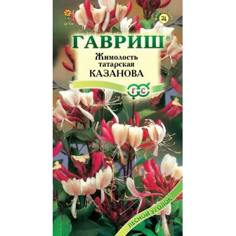Жимолость Казанова (татарская)