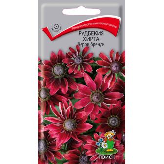 Рудбекия Черри Бренди