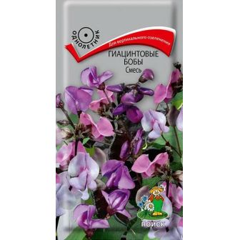 Гиацинтовые бобы Двухцветные