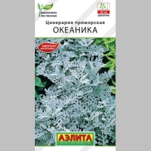 Цинерария Океаника - Семена Тут