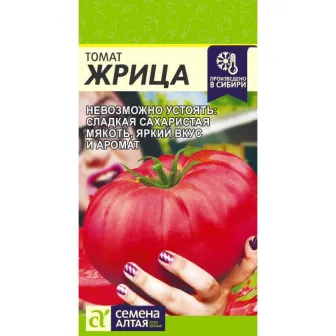 Томат Жрица