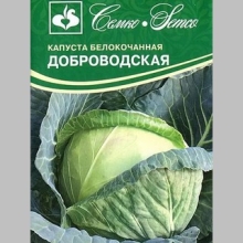Капуста Доброводская - Семена Тут