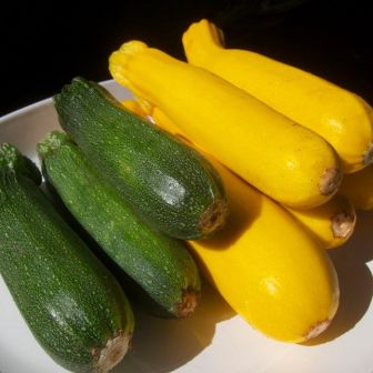 Дуэт Кабачок Желтоплодный +Негритенок