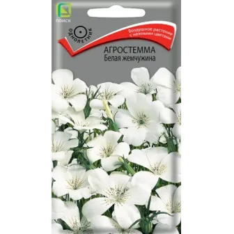 Агростемма Белая жемчужина