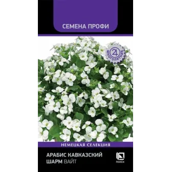 Арабис Шарм Вайт кавказский (Семена Профи)
