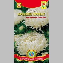 Астра Краллен Ориент - Семена Тут