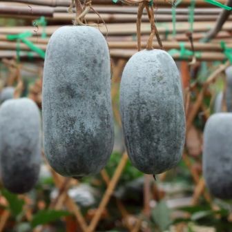 Бенинказа Пекинская (Восковая Тыква) (большой пакет)