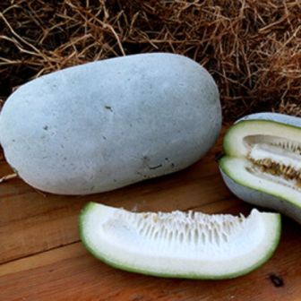 Бенинказа Азиатский Овощ (Восковая Тыква) (большой пакет)