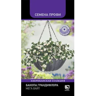 Бакопа Мега Вайт грандифлора