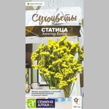 Статица Хипстер Еллоу - Семена Тут