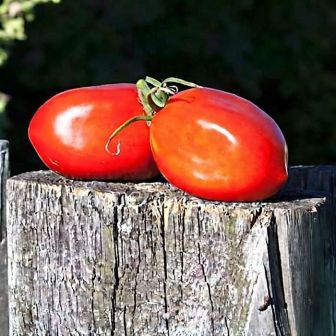 Томат Де Барао Гигант (большой пакет)