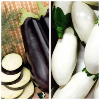 Дуэт Баклажан Мечта дачника +Молочник