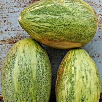 Дыня Карамель (Caramel) (большой пакет)