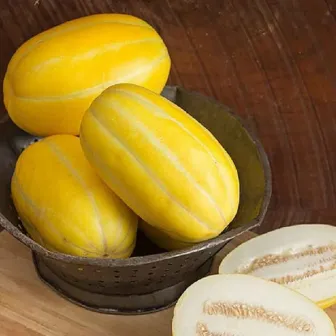 Дыня Ранняя Серебряная Линия (Early Silverline) (большой пакет)