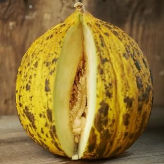 Дыня-малышка Яблоко (большой пакет)