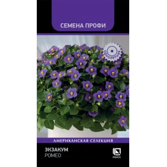 Экзакум Ромео (Семена Профи)