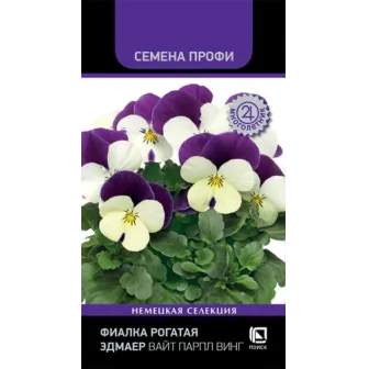 Фиалка Эдмаер Вайт Парпл Винг (рогатая)