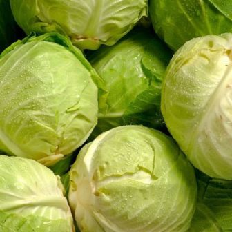 Дуэт Капуста Июньская +Слава 1305