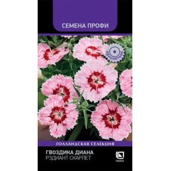 Гвоздика Диана Рэдиант Скарлет