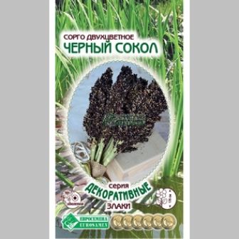 Сорго Черный Сокол