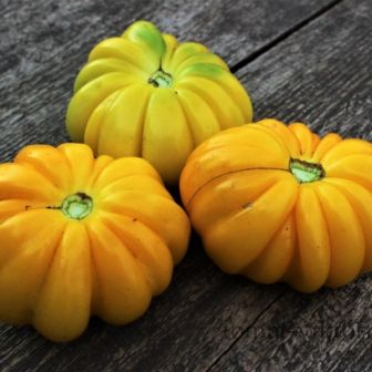 Томат Золотая Гармонь