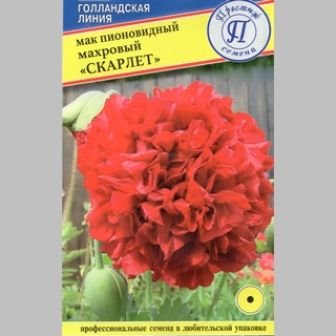 Мак Скарлет (пионовидный)