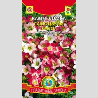 Камнеломка Самоцветы смесь