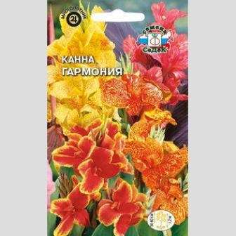 Канна Гармония индийская смесь цветов