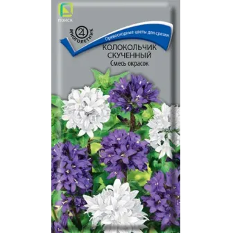 Колокольчик Смесь окрасок (скученный)