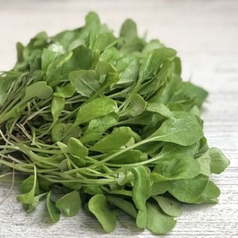 Кресс-салат Персидский цельнолистный