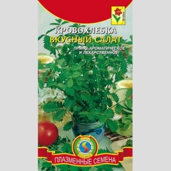 Кровохлебка Вкусный салат