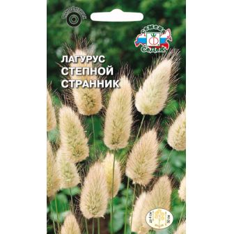 Лагурус Степной Странник
