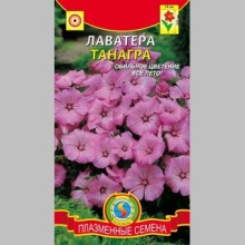 Лаватера Танагра - Семена Тут