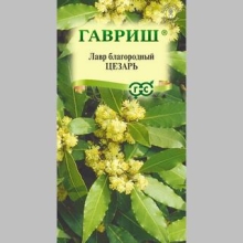 Лавр Цезарь (благородный) - Семена Тут