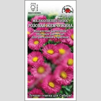 Мелколепестник Розовая Жемчужина