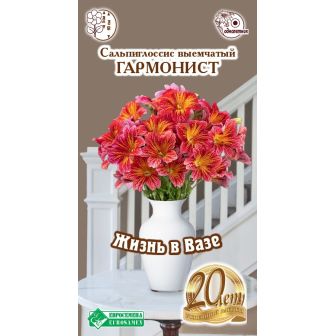 Сальпиглоссис Гармонист (выемчатый)