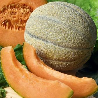 Дыня Бест Джумбо