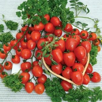 Томат Клубничка F1