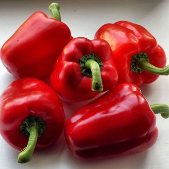 Перец Гусарский кубок