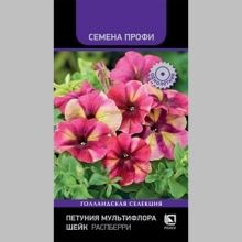 Петуния Шейк Распберри - Семена Тут